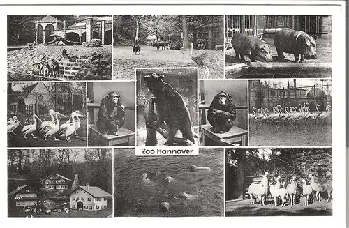 Hannover - Zoo von 1950 (122AK)