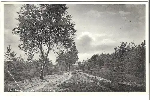 Lüneburger Heide - Heideweg v. 1932 (126AK)