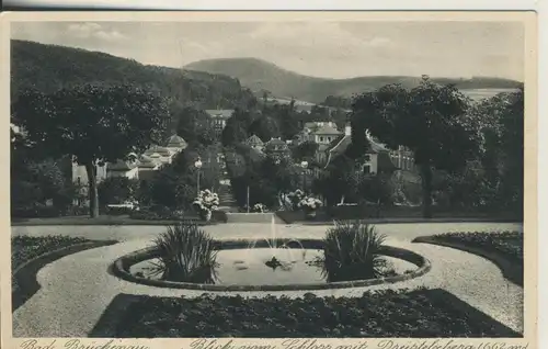 Bad Brückenau v. 1938 Blick vom Schloß (AK1621)