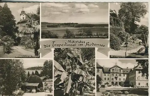 Mainau v. 1956 Die Tropeninsel im Bodensee - 6 Ansichten (AK1701)