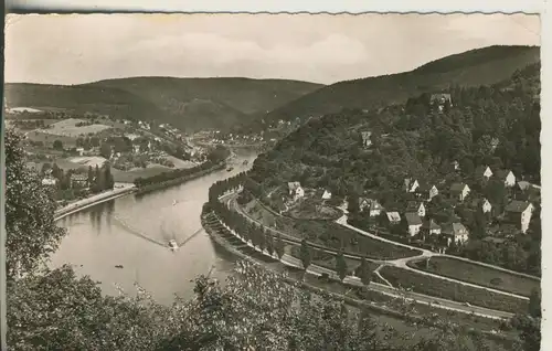Heidelberg v. 1963 Blick vom Storchennest ins Neckartal (AK1783)