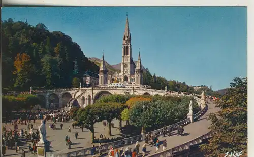 Lourdes v. 1981 La Basilica (AK1825)
