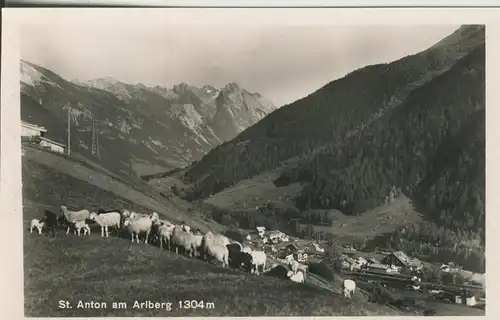 St. Anton v. 1963 Dorfansicht mit einer Kuhherde (AK1886)