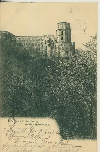 Heidelberg v. 1903 Schloß in der Blütenzeit (AK2022)