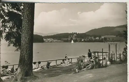 Hinterzarten v. 1957 Der Schluchsee (AK2158)