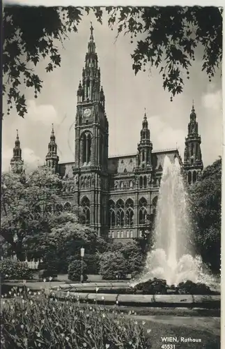 Wien v. 1962 Das Rathaus (AK2368)