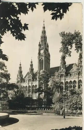 Wien v. 1957 Das Rathaus (AK2369) 