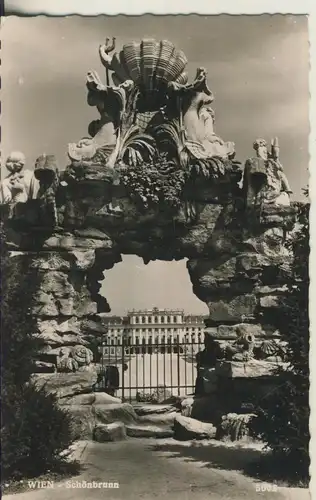Wien v. 1955 Schönbrunn (AK2372) 