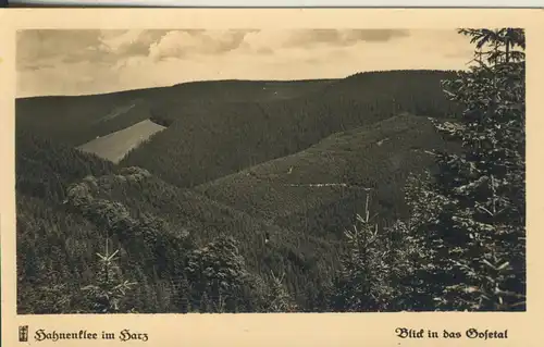 Hahnenklee v. 1955 Blick ins Tal (AK2388)