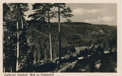 Luftkurort Würzbach v. 1965 Blick ins Würzbachtal (AK2461) 