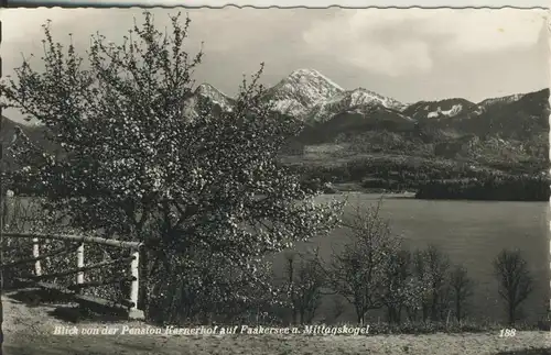Faakersee v. 1962 Blick von der Pension Harnerhof (AK2539)