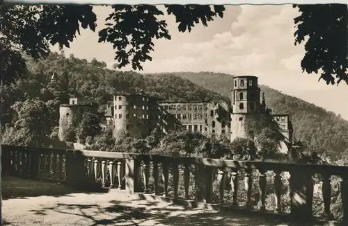 Heidelberg v. 1965 Die Burg (AK2616)