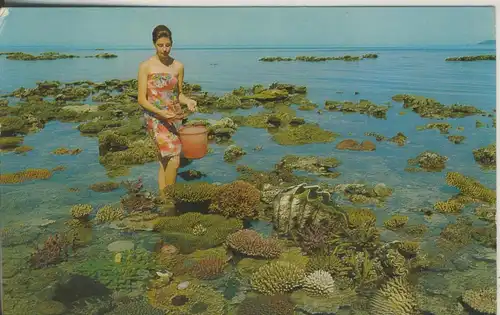 Australien v. 1968 Great Barrier Reef, N.Q. (AK2645)