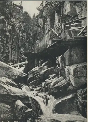 Riesengebirge v. 1968 Der Zackelklamm (AK2695)