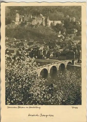 Heidelberg v. 1955 Blüten in Heidelberg (AK2975)