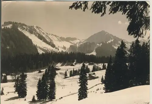 Kleinwalsertal v. 1965 Hirschegg Wäldle (AK3077)