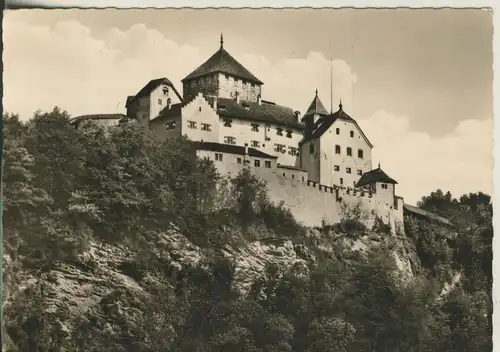 Lichtenstein v. 1965 Schloss Vaduz (AK3140)