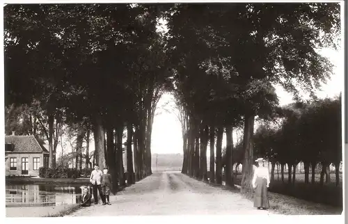 Dordrecht - Dubbeldamseweg , omstreeks - 1895 (AK3210)