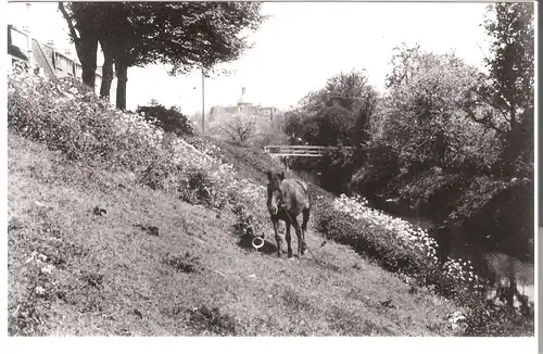 Dordrecht - Weeskinderendijk - Ingang Watermolenw - 1939 (AK3239)