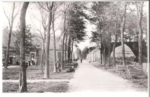 Dordrecht - Straatweg Willemsdorp omstreeks - 1905 (AK3268)