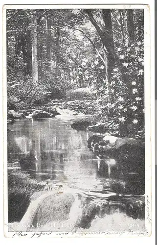 The Glen Buckhill Falls von 1921 (AK3627) 