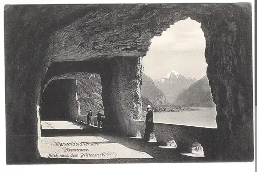 Vierwaldstättersee - Blick nach dem Bristenstock von 1907 (AK3638)