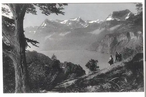 Axenstein - Blick auf den Urirothstock von 1907 (AK3640) 