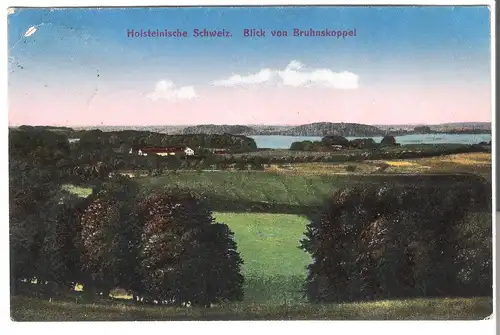 Holsteinische Schweiz - Blick von Bruhnskoppel von 1924 (AK3648) 