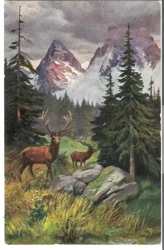 F.E.D. Serie 509 - von 1921 (AK3661)