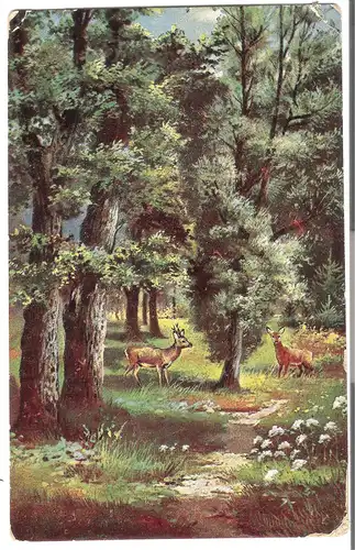 Rehe im Wald - von 1917 Sonderstempel(AK3664)