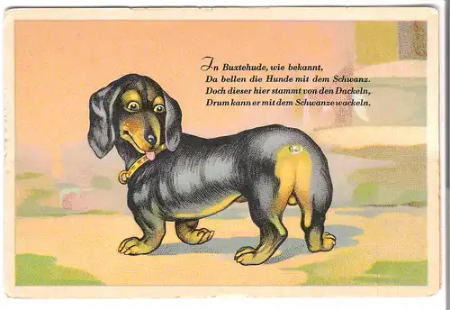 Dackel mit Spruch - von 1922 (AK3730) 