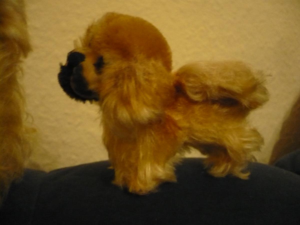 Grosser Und Kleiner Pekinese Von Steiff Alter 5 Oldthing Steifftiere