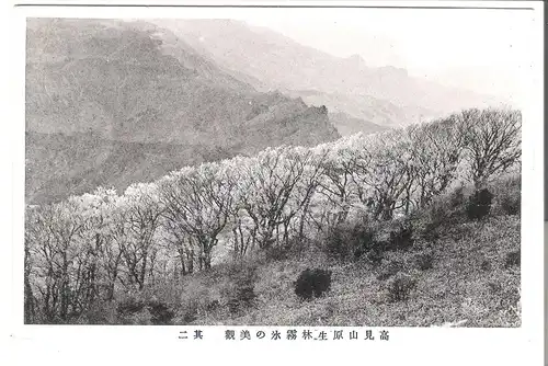 Mount Takami - Japan - von 1920 (AK4078)