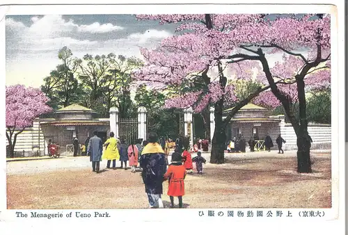 The Meganerie of Ueno Park - Tokyo - Japan - von 1950 (AK4079)