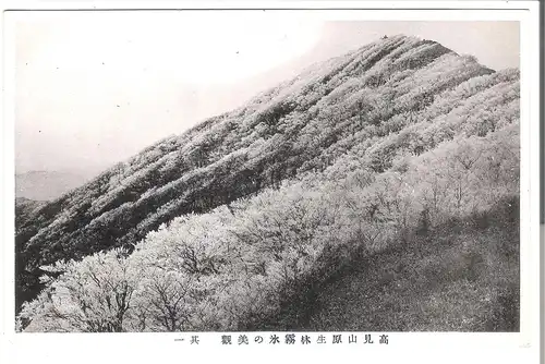 Mount Takami - Mit Kirschblüte- Japan - von 1948 (AK4098)
