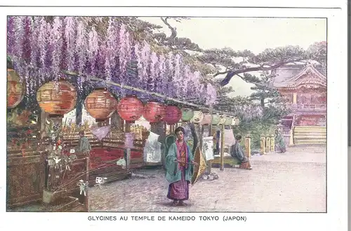 Glycines au Temple de Kameido - Tokyo - Japan - von 1915 (AK4115) 