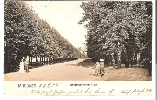 Hannover - Herrenhauser Alle v. 1905 (AK3570)