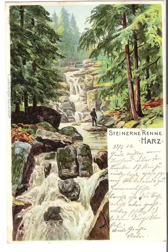 Steinerne Renne - Harz v. 1902 (AK3589) 