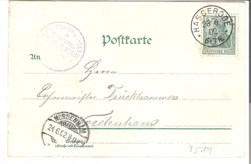 Steinerne Renne - Harz v. 1902 (AK3589) 
