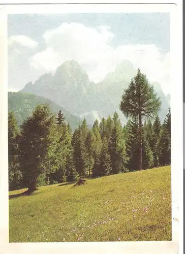 Frühlingslandschaft - Dolemiten v. 1961 (AK3876)
