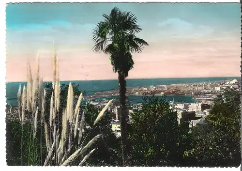 Genova - Panorama dal Righi v. 1954 (AK3975)