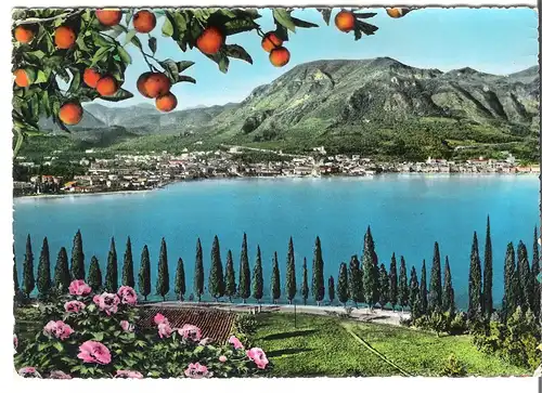 Lago di Garda - Salò - Panorama v. 1963 (AK3991)