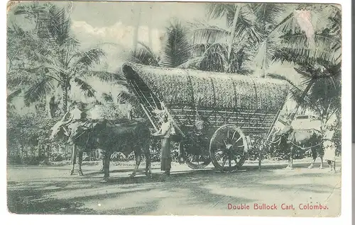 Double Bullock Cart - Colombo - Ceylon v. 1912 (AK4376)