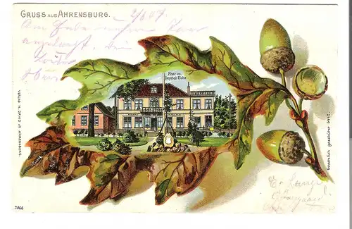 Gruss aus Ahrensburg v. 1907 (AK4409)
