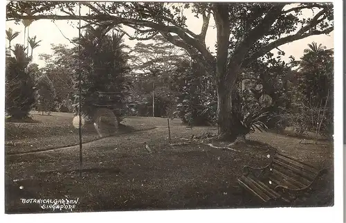 Botanical Garden - Singapore v. 1920 (AK4464)