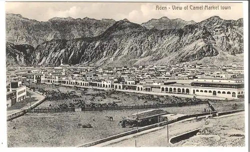 Aden - View of Camel Market town v. 1906 (AK4506)