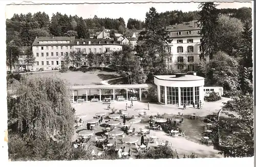 Bad Schwalbach im Taunus - Kuranlage am Weinbrunnen v. 1961 (AK4538)