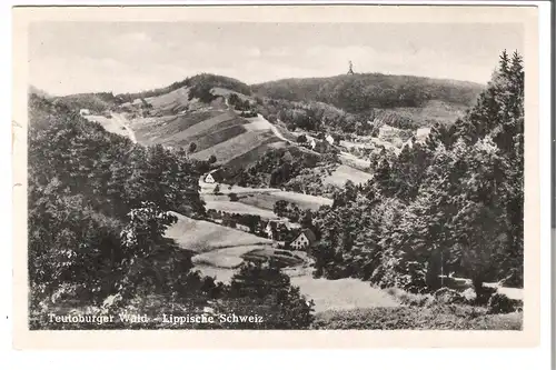 Teutoburger Wald - Lippische Schweiz v. 1955 (AK4598)