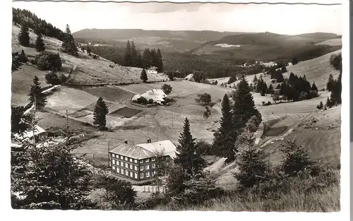 Luftkurort und Wintersportplatz Neuglashütten (Hoch-Schwarzwald) - Pension und Café Grüner Baum von 1952 (AK53486)