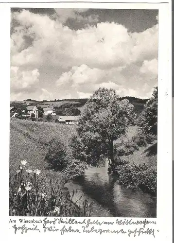 Am Wiesenbach (Feldberg) von 1953 (AK53493)